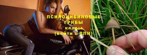 mdpv Богданович