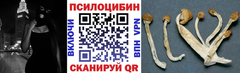 Галлюциногенные грибы Psilocybe  Морозовск 